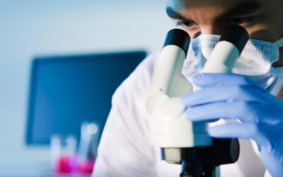 Studiare il trattamento per forme rare di fibrosi cistica negli organoidi